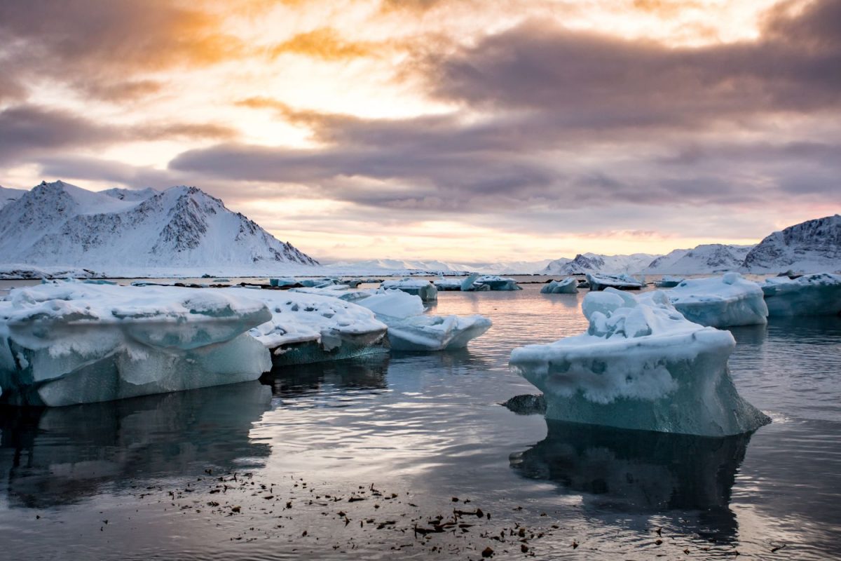 Ruch lodu, czyli podróż przez topniejącą Arktykę